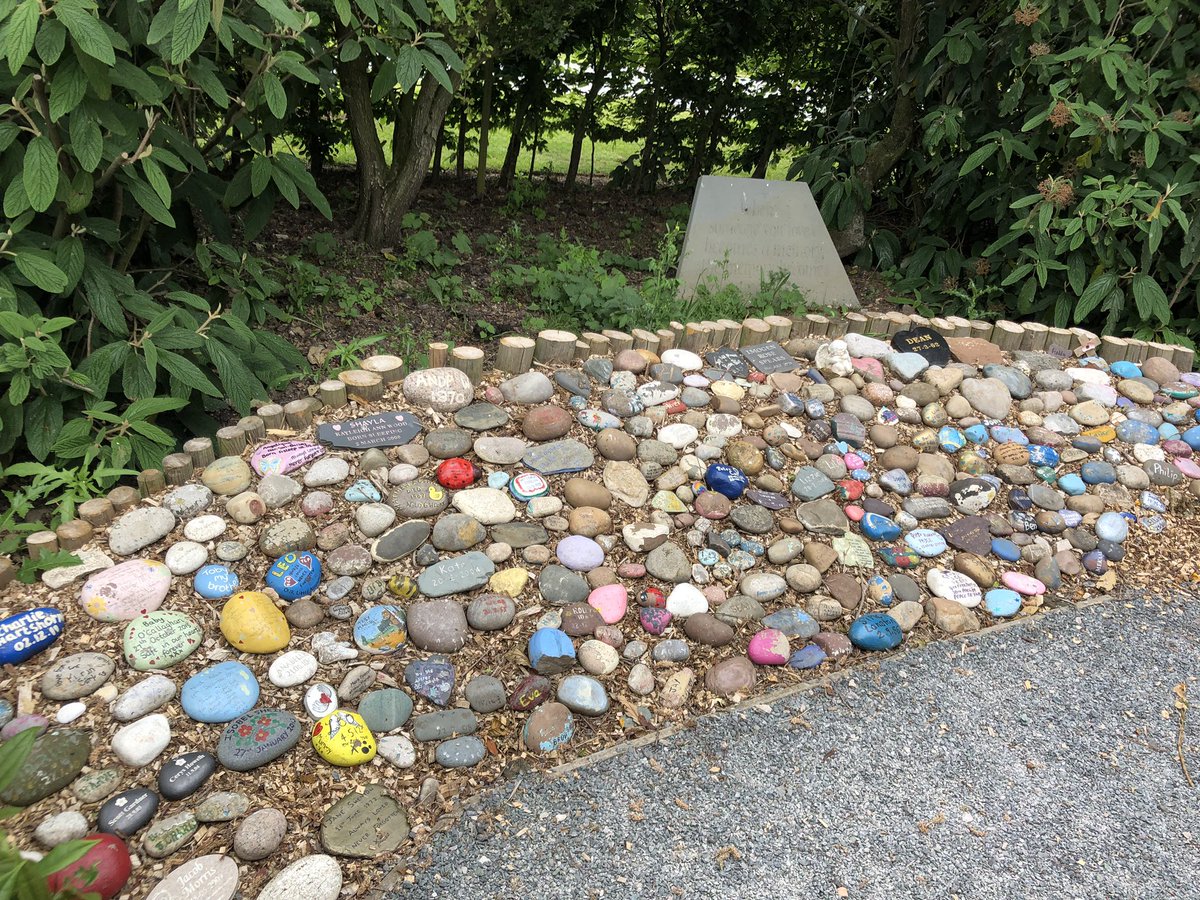 for_theo's tweet photo. Lovely peaceful walk around @Nat_Mem_Arb today and nice to visit the @SandsUK memorial garden with Theo’s little sister. Love my gardening now and a big healer for me personally. We’ll get a stone for Theo’s birthday to add to the Sands garden soon 💙 https://t.co/sB8b5XNWfu
