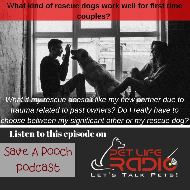 Saveapooch's tweet image. #Saveapooch How Rescue Dogs Affect Relationships petliferadio.com/saveapoochep38… @PetLifeRadio