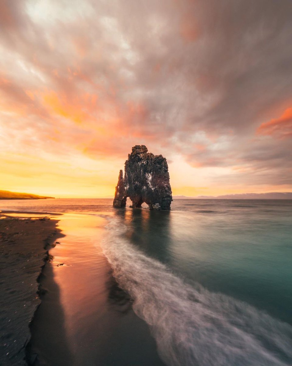 TravelVida's tweet photo. Hvítserkur, Iceland 🇮🇸(via: yantastic) https://t.co/YfiPSj9Qxa