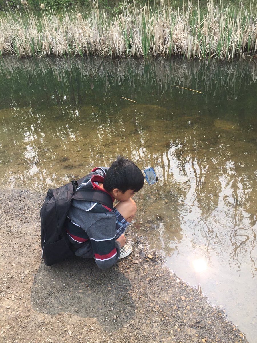norminton5dn's tweet photo. What a great morning we had learning about Wetlands at the John Jantzen Nature Centre! #whfelementary #EIPSteaches https://t.co/PHhWxbwLlV