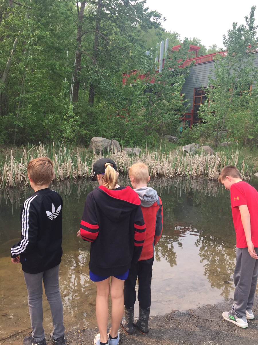 norminton5dn's tweet photo. What a great morning we had learning about Wetlands at the John Jantzen Nature Centre! #whfelementary #EIPSteaches https://t.co/PHhWxbwLlV