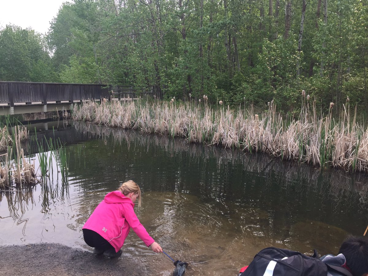 norminton5dn's tweet photo. What a great morning we had learning about Wetlands at the John Jantzen Nature Centre! #whfelementary #EIPSteaches https://t.co/PHhWxbwLlV