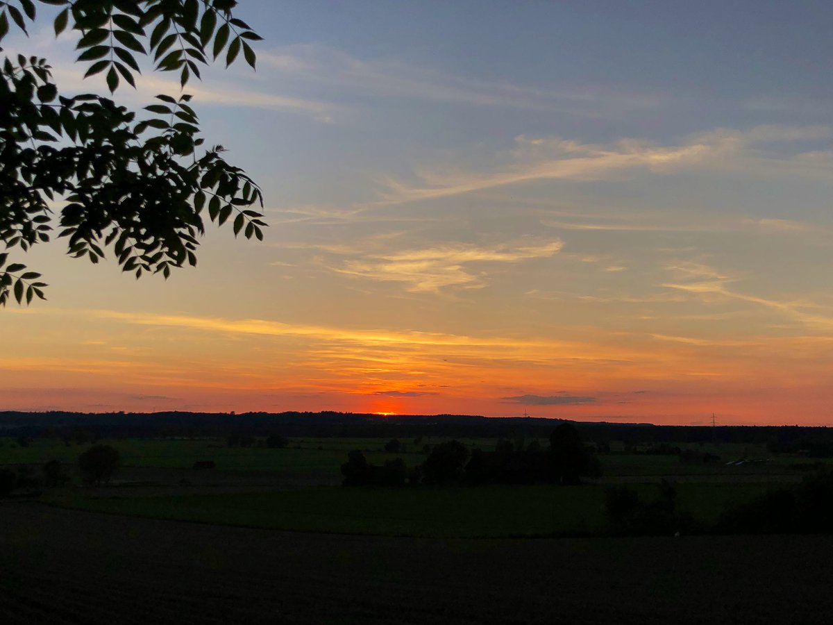 Heute: Schönste Aussicht - Baum kuscheln - Vergissmeinnicht - Abendhimmel 

#hugatreechallenge