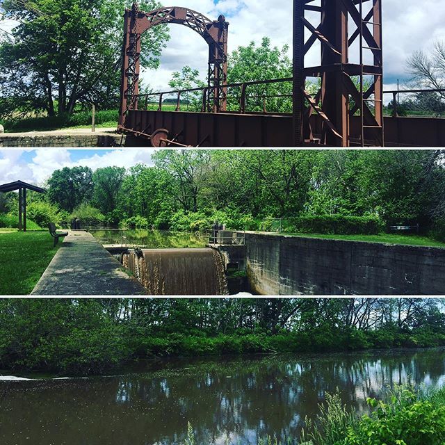 autostradem's tweet photo. With the heat &amp; humidity rising along with the Mississippi River it’s been a bit challenging to find spots that are pretty, shaded and dry, but our first #ioverlander spot in #illinois definitely met with Ollie’s approval. While I do my #digitalnomad thing, he’s been in-and-… https://t.co/EAvvekA4aj