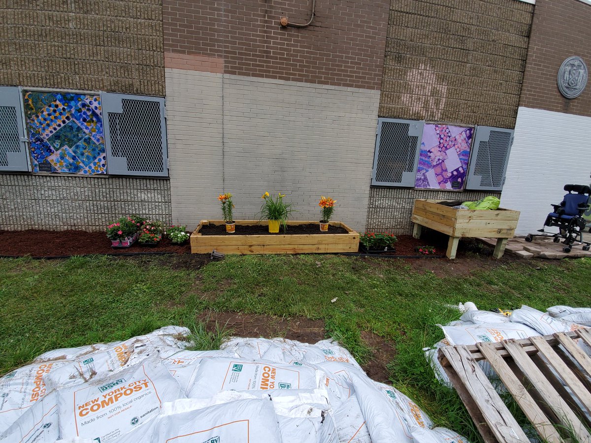 DavidRivera726's tweet photo. @Perrelli_45 @MsCarly_HD @tuti5kids @williams2_e @Dkauffmann1281 @noelia_pina2 
Team Depot store 1281 volunteers contributing there time and efforts to help with gardening for school PS37R. https://t.co/ioPj96VEeZ
