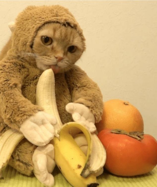 cursed_thought's tweet image. 🤔