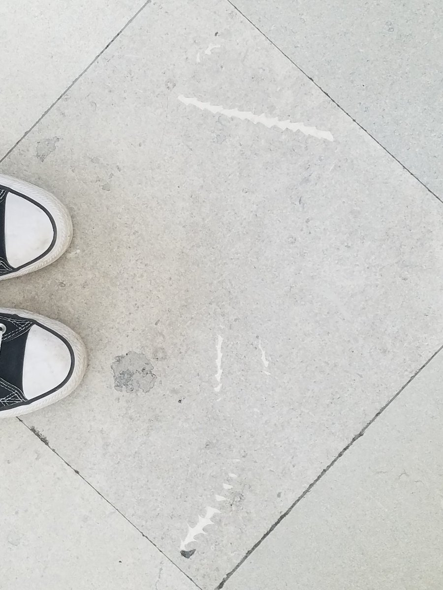 Emily_D_Thorpe's tweet photo. Next time you're at the @FieldMuseum make sure to take a look at the floors! There are some awesome #fossils in the limestone!
#FossilFriday #archimedes #bryozoan #SPNHC2019 https://t.co/gWpX1sYkiv