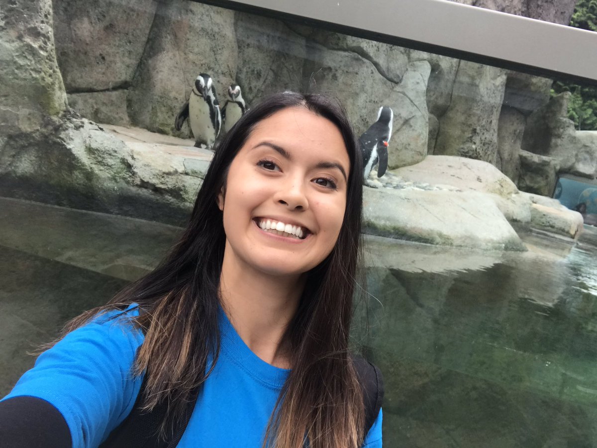 Christine Tischer tweet media