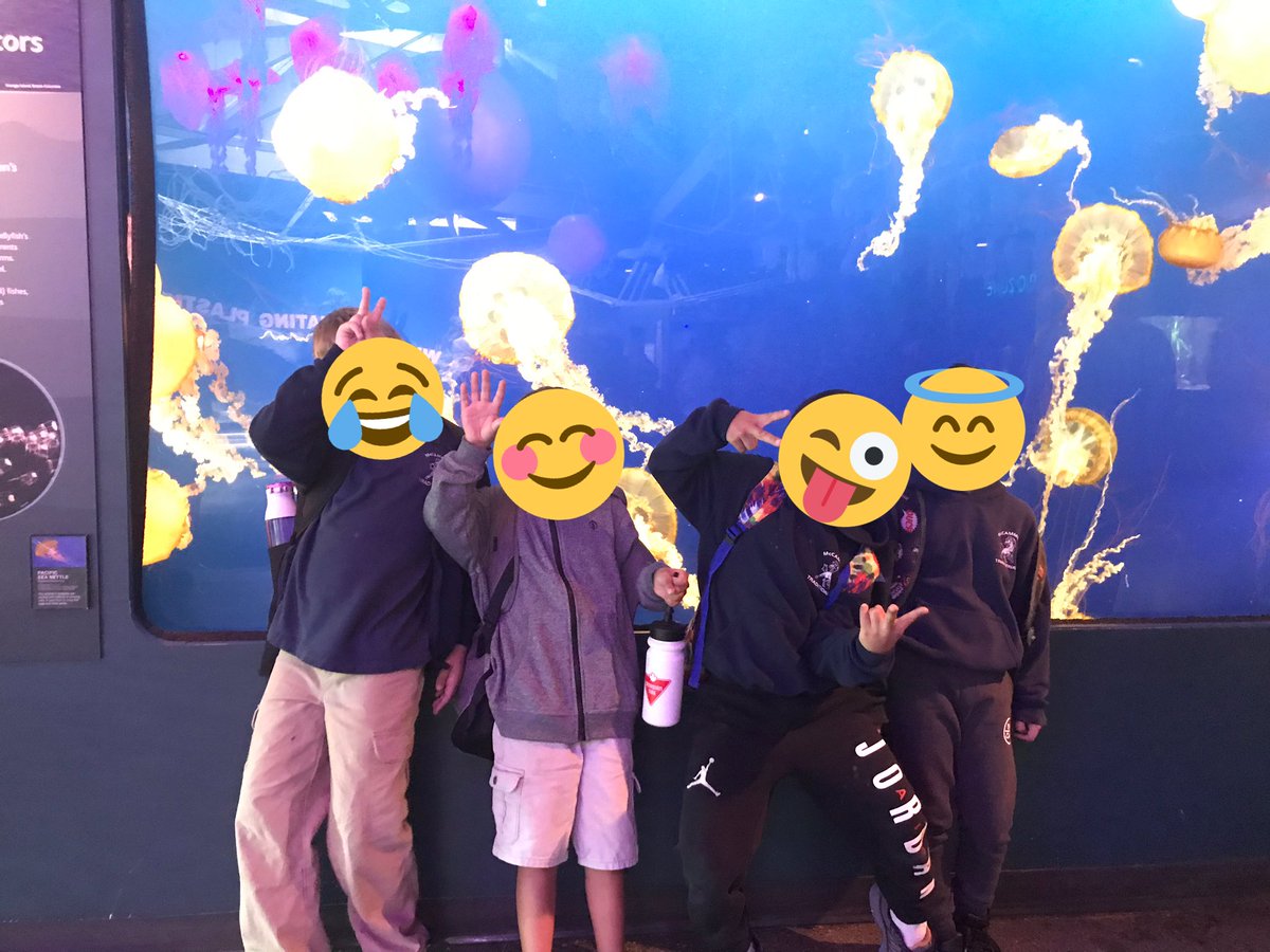 Christine Tischer tweet media