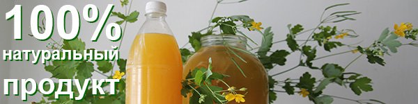 Чистотел по болотову отзывы. Чистотел по болотову отзывы. Квас из чистотела. Фитофарм трава чистотела. Квас болотова на чистотеле на сыворотке.