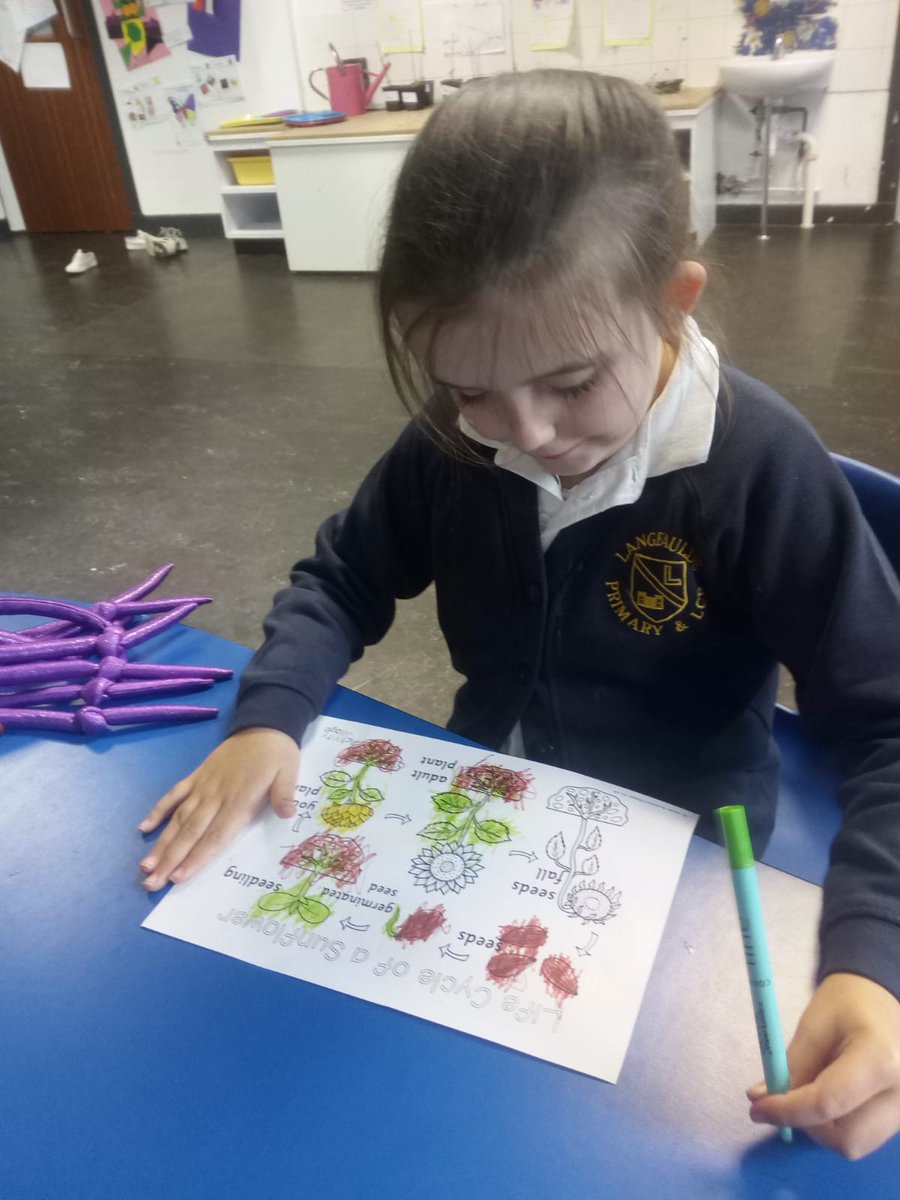 LangfauldsLCR tweet media