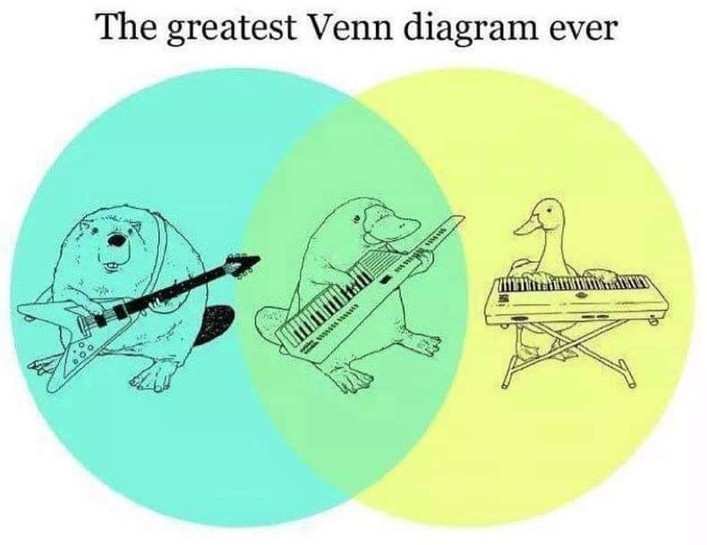 WHO DID THIS 😂😂😂