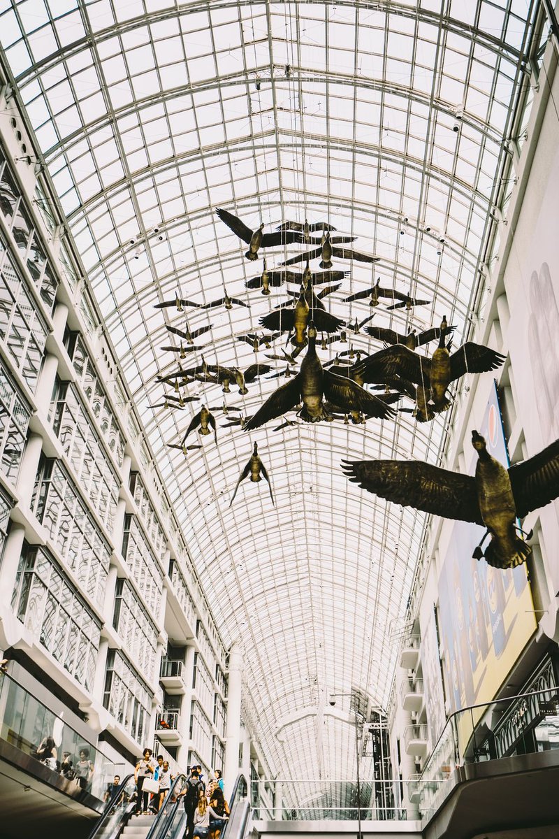NotableCA's tweet photo. Flying into the weekend like... #NotableLife Photo by Scott Webb https://t.co/Q2Y6oahcgy