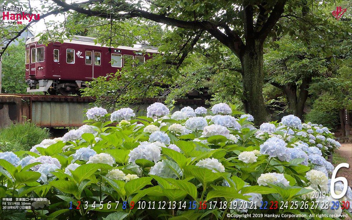 阪急電鉄 公式 今日から6月 梅雨の時期が近付いてまいりました 梅雨と言えば紫陽花 6月の阪急電車壁紙 カレンダーは 夙川公園の紫陽花の写真です ダウンロードはコチラ T Co 24jisvxp45 パソコンなどに最適な横向きで4kサイズまで