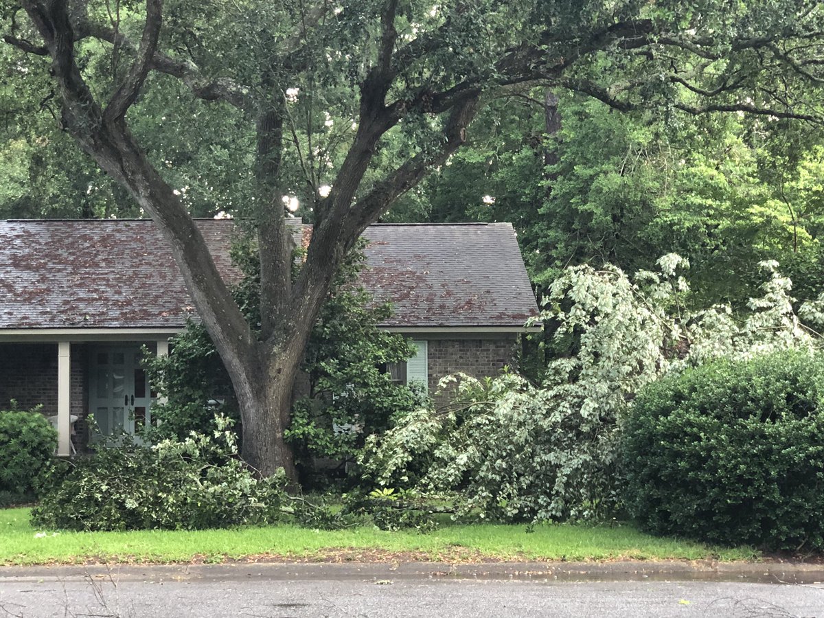 pmilbourn86's tweet photo. Downed trees got my truck. Hail damage too. Tree limbs came from over 50’ away. Cooper Estates by Shem Creek @chswx @StormTeam2WCBD https://t.co/RXH667cMjF