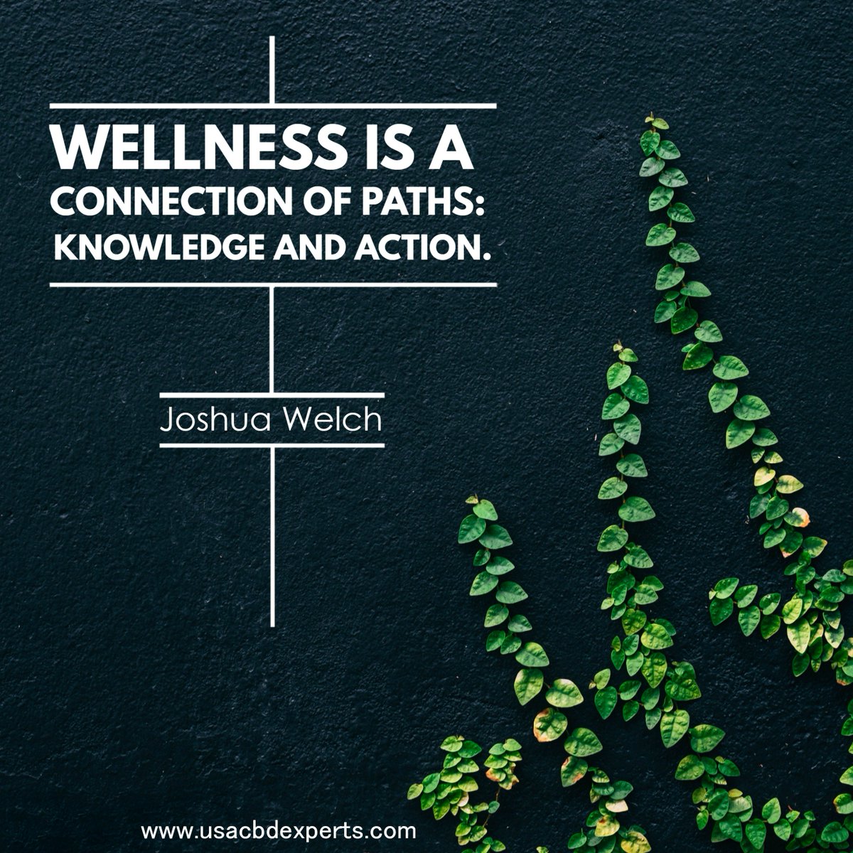 experts_cbd's tweet photo. Wellness is a connection of paths: knowledge and action. - Joshua Welch

#usacbd #cbd #cannabis #hemp #hightimes #cbdvape #dabs #cbdheals #life #dank #organic #cbdcommunity #natural #healthandwellness #healthmatters https://t.co/mTnw7VnNKw