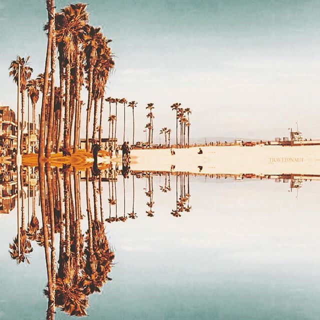 Santa Monica Dreamin’.
.
.
.
.
. .
.
.
#palmtrees #santamonicabeach #santamonicalife #santamonica #ladiaries 🌴 #seesantamonica #santamonicapier #beachmoments #beachlovers #beachtherapy #visitcalifornia #lifeisabeach #nomadlife #losangelesworld #passi… bit.ly/2XirhQF