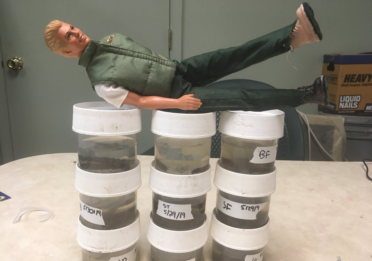 benthicken's tweet photo. #TGIF My favorite way to relax after a long week of field work is to recline on a pile of depurating cranefly larvae. What about you, benthic friends? https://t.co/h1H7ieo0n4