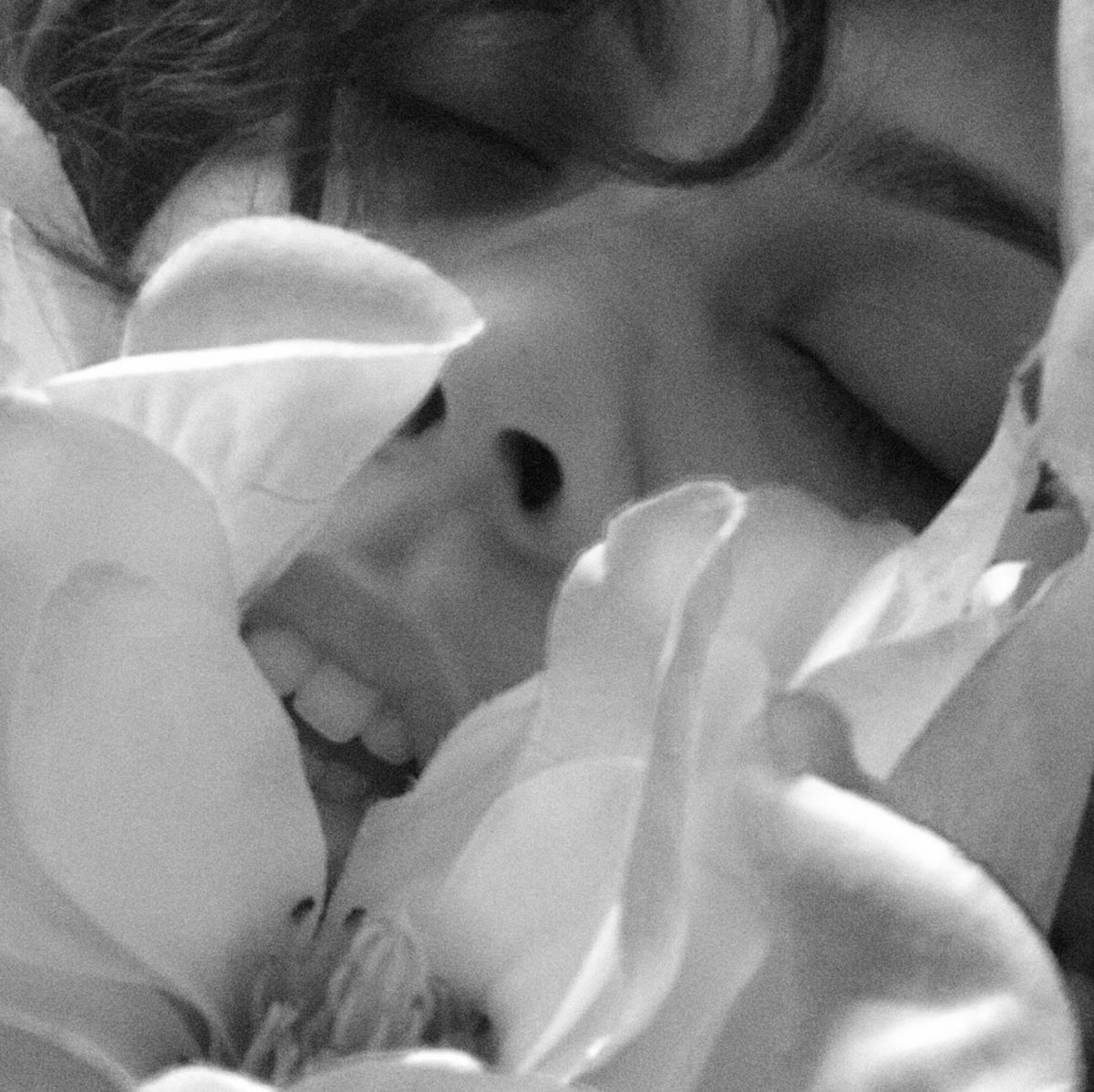 CreeAdu's tweet photo. Been lost in flowers https://t.co/9fPjoVI0bL