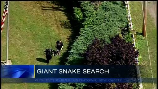 WPXI's tweet photo. #snakesearch continues in Morgantown after a MASSIVE python gets loose. https://t.co/kplWuBo2ta https://t.co/AYs05GVRWy