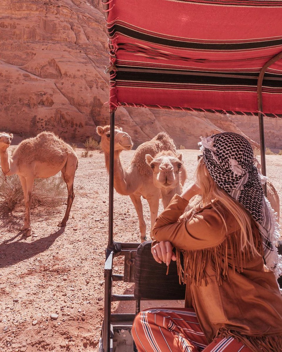 Wadi Rum , Jordan 🇯🇴 Enjoy life , travel more

Best websites to book > Flight goo.gl/LO2AtV
> Hotel goo.gl/KGKVP2 > Activities goo.gl/he9Ttg
✈️ Android goo.gl/b160No iOS goo.gl/KAai7q
🏨 Several mobile OS goo.gl/ahvJzw