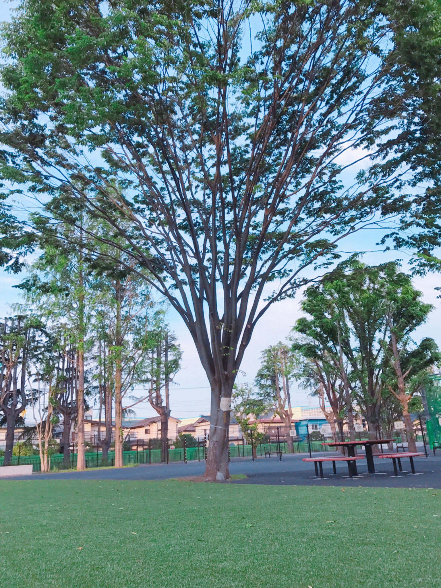 تويتر せんがわタイム على تويتر 深大寺のクリーンプラザふじみの稼働に伴って閉鎖になった 三鷹市新川にある三鷹市環境センターの跡地に出来た 新川暫定広場 がなかなか穴場スポットだと思います フットサルもバスケも出来るよ 仙川 T Co 2j9lgittrb