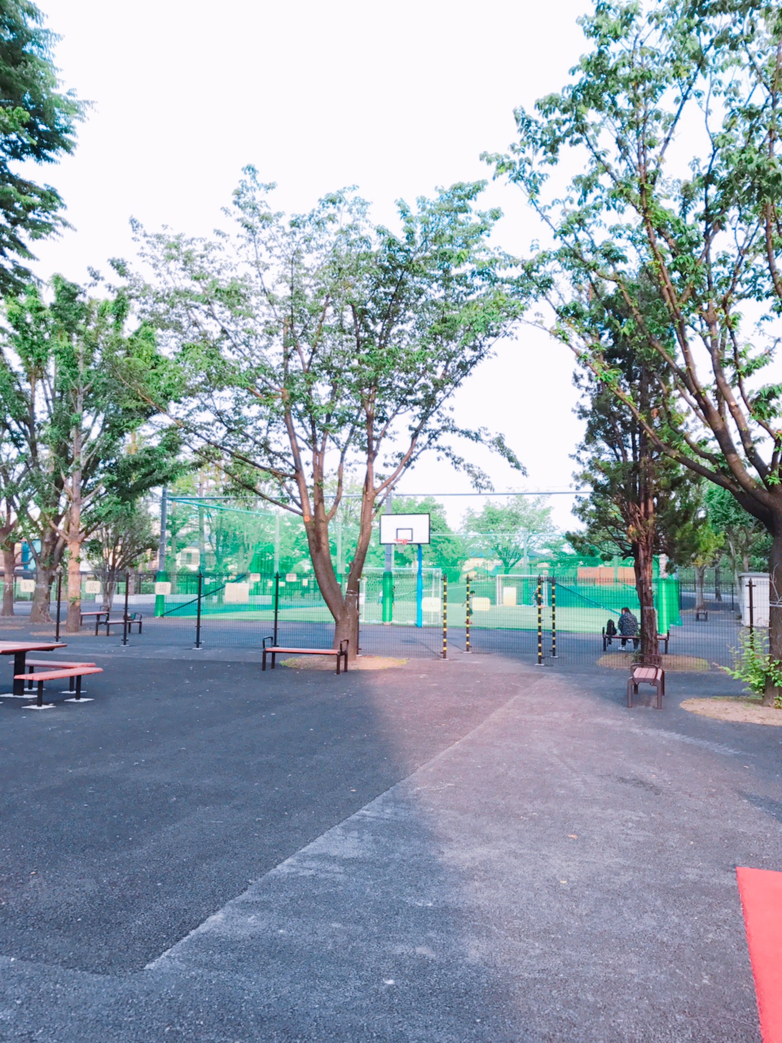 تويتر せんがわタイム على تويتر 深大寺のクリーンプラザふじみの稼働に伴って閉鎖になった 三鷹市新川にある三鷹市環境センターの跡地に出来た 新川暫定広場 がなかなか穴場スポットだと思います フットサルもバスケも出来るよ 仙川 T Co 2j9lgittrb