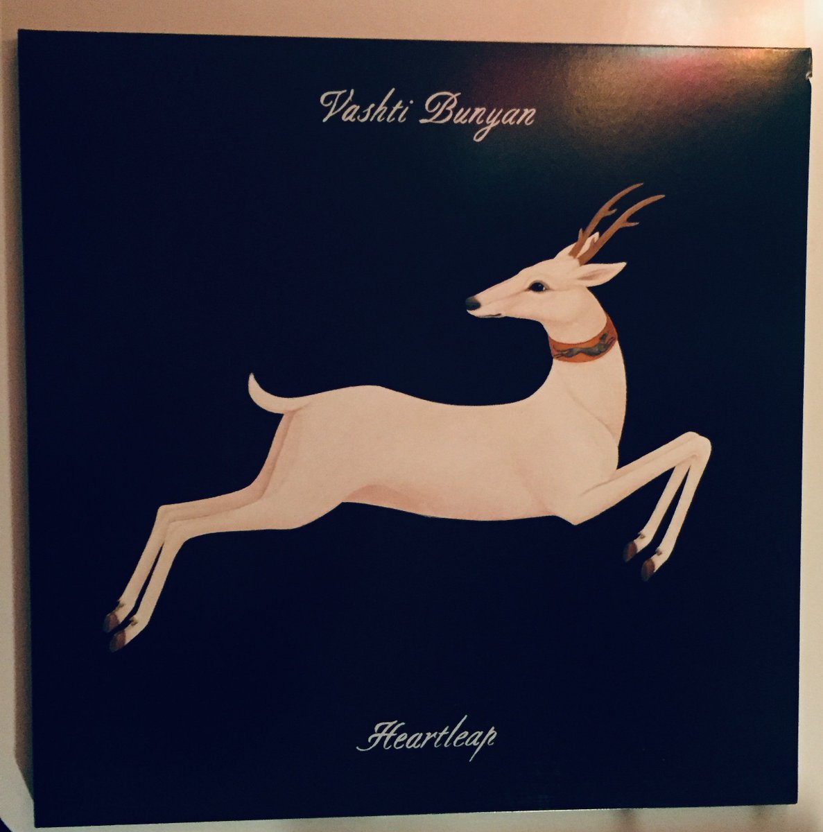 Tonight’s medicine: Vashti Bunyan Heartleap. These fragile yet mighty songs are beautifully sung and played by VB and a small group of musicians. Perfect before bedtime.