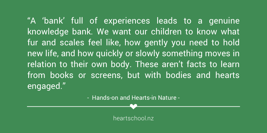 It is being hands-on and hearts-in with the #Earth that makes the #outdoors truly great for our #children. 'Hands-on and Hearts-in Nature' is our beautiful new resource, the one we were drawn to write and born to write! heartschool.nz/nature-toolkit #nature #CNC2019 #ece #Outdoorplay