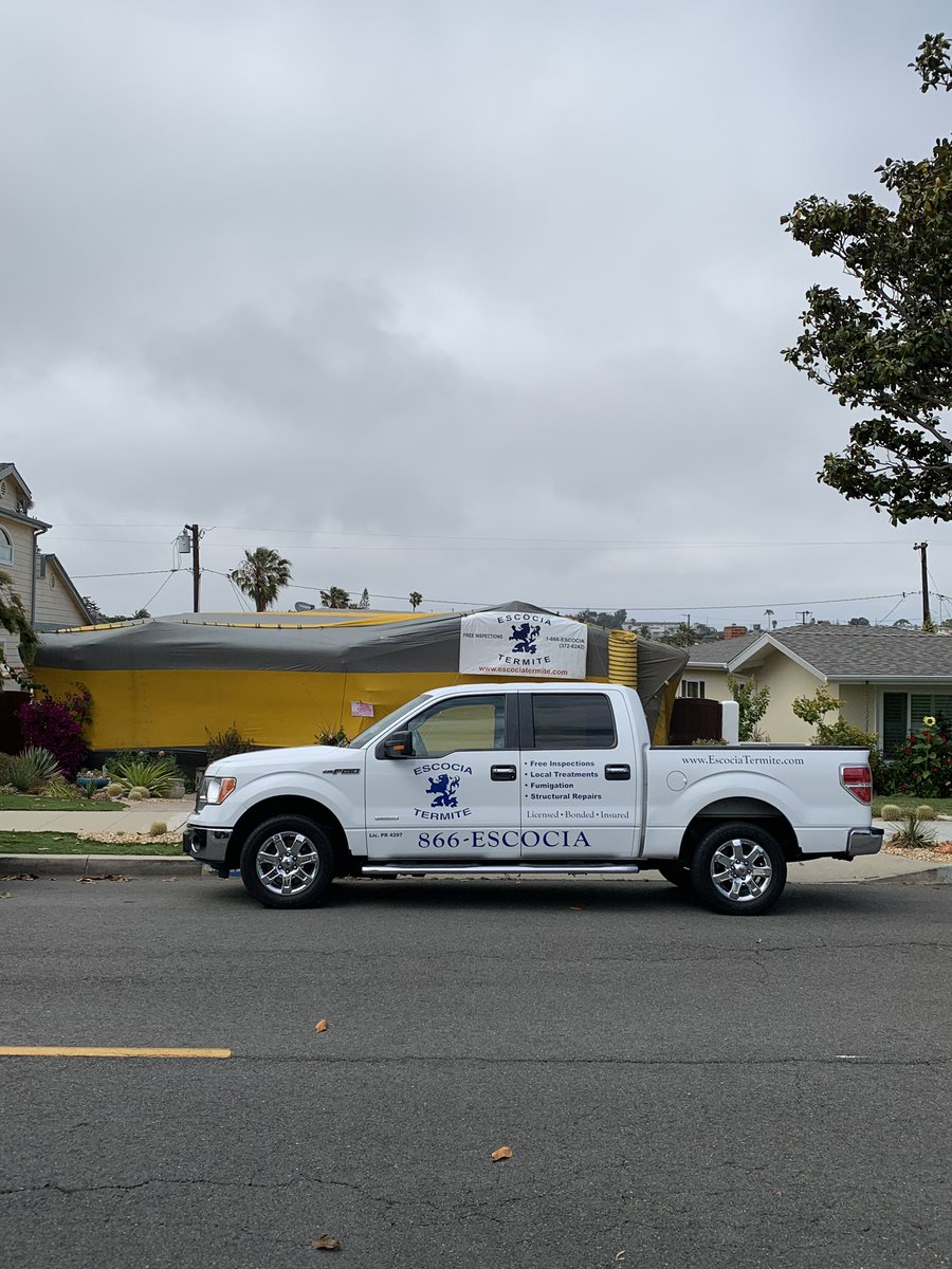 EscociaTermite's tweet photo. Does your house have a termite infestation? At Escocia Termite we offer different solutions from local treatments to fumigation. Call today to set up your free home inspection! https://t.co/YoZ5kxabJi