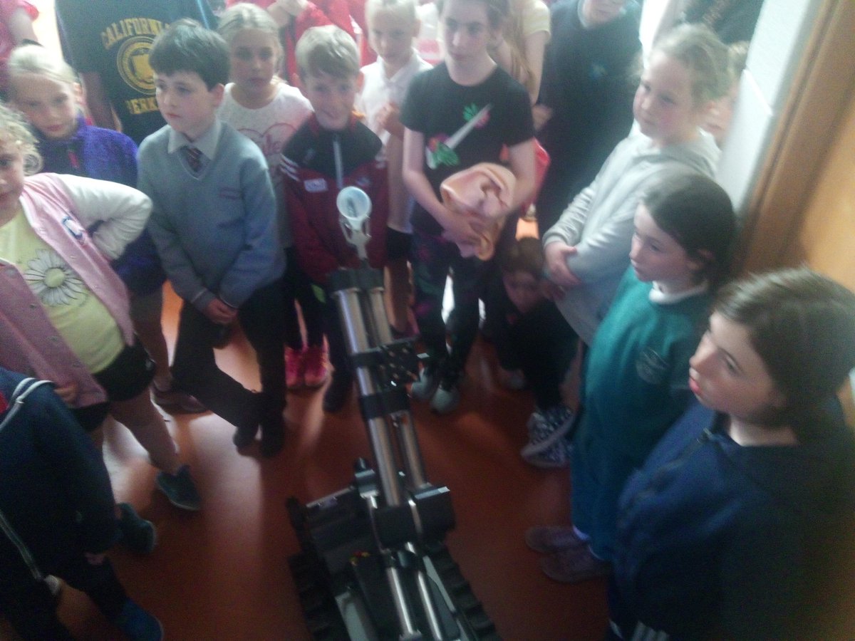 coderdojoCIT's tweet image. Last coding session until next September but what a session ,Pizza party ,microbits and robots what more could you ask for #CoderDojo. #coderdojocit #cit #youngcoders #CodingToys @CIT_ie @CoderDojoIRE @patrickc