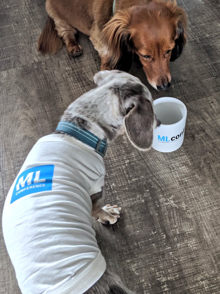 Shon's tweet photo. Gearing up for @MLconf #mlconfsf https://t.co/Cx2RgSud50