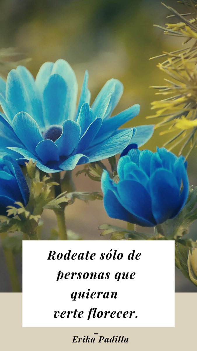 eripabe74's tweet photo. Rodéate solo de personas que quieran verte florecer 🦋 #frasesmotivadoras https://t.co/d7hvZV2HOr