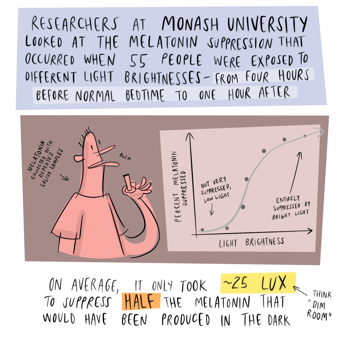 Researchers at Monash University looked at the melatonin suppression that occurred when 55 people were exposed to different light brightnesses-- from four hours before normal bedtime to one hour after. On average, it only took ~25 lux to suppress half the melatonin that would have been produced in the dark