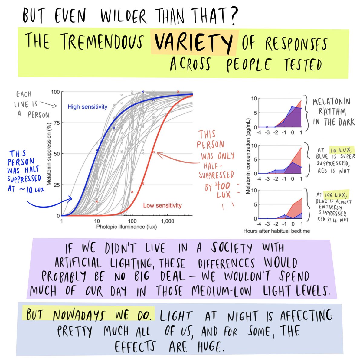 But even wilder then that? The tremendous variety of responses across people tested. (Graph showing person 50x more sensitive to light) If we didn't live in a society with artificial lighting, these differences would probably be no big deal-- we wouldn't spend much of our day in those medium-low light levels. But nowadays we do. Light at night is affecting pretty much all of us, and for some, the effects are huge.