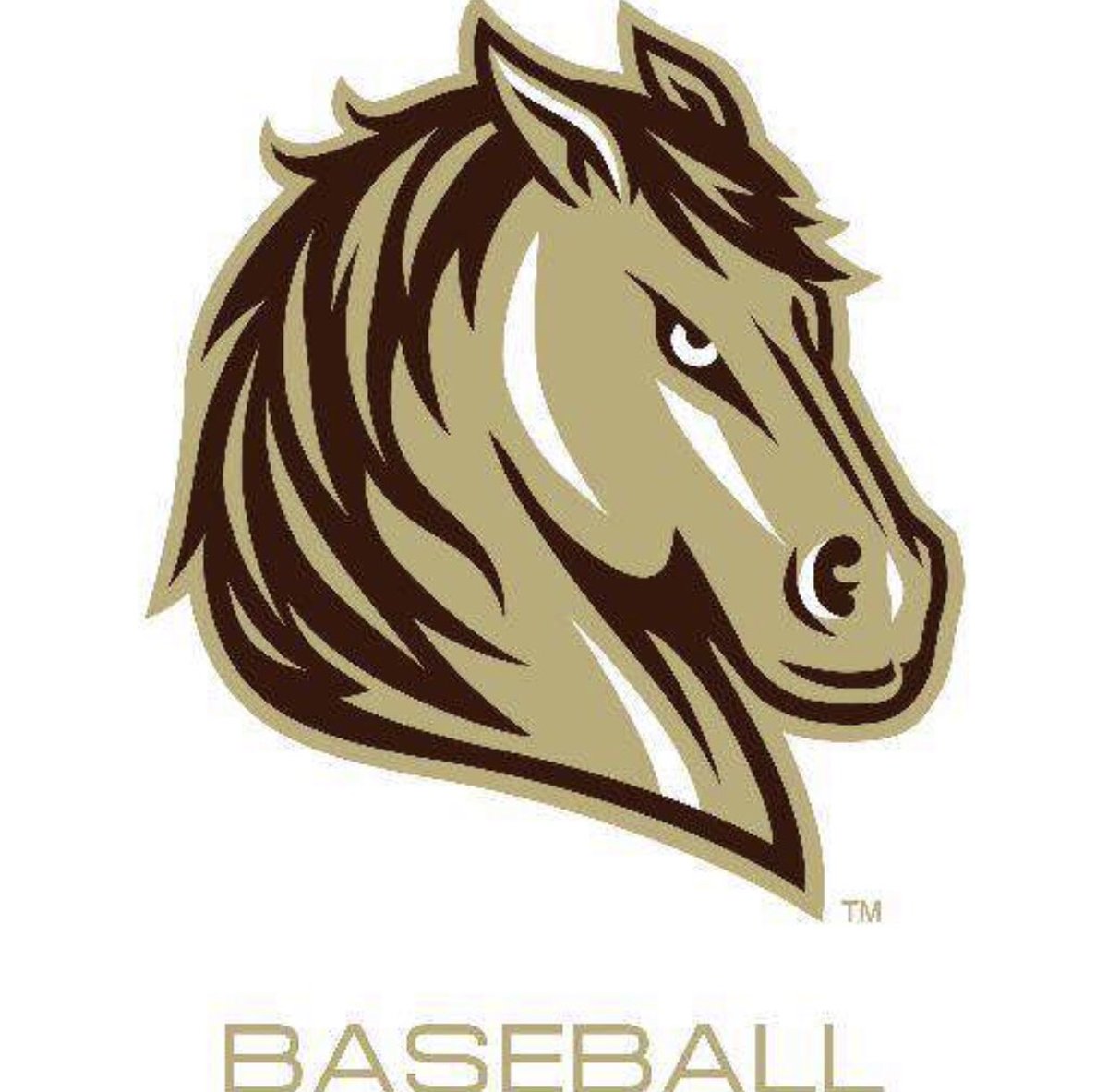 Beyond blessed to announce my commitment to further my education and baseball career at Southwest Minnesota State University!!!