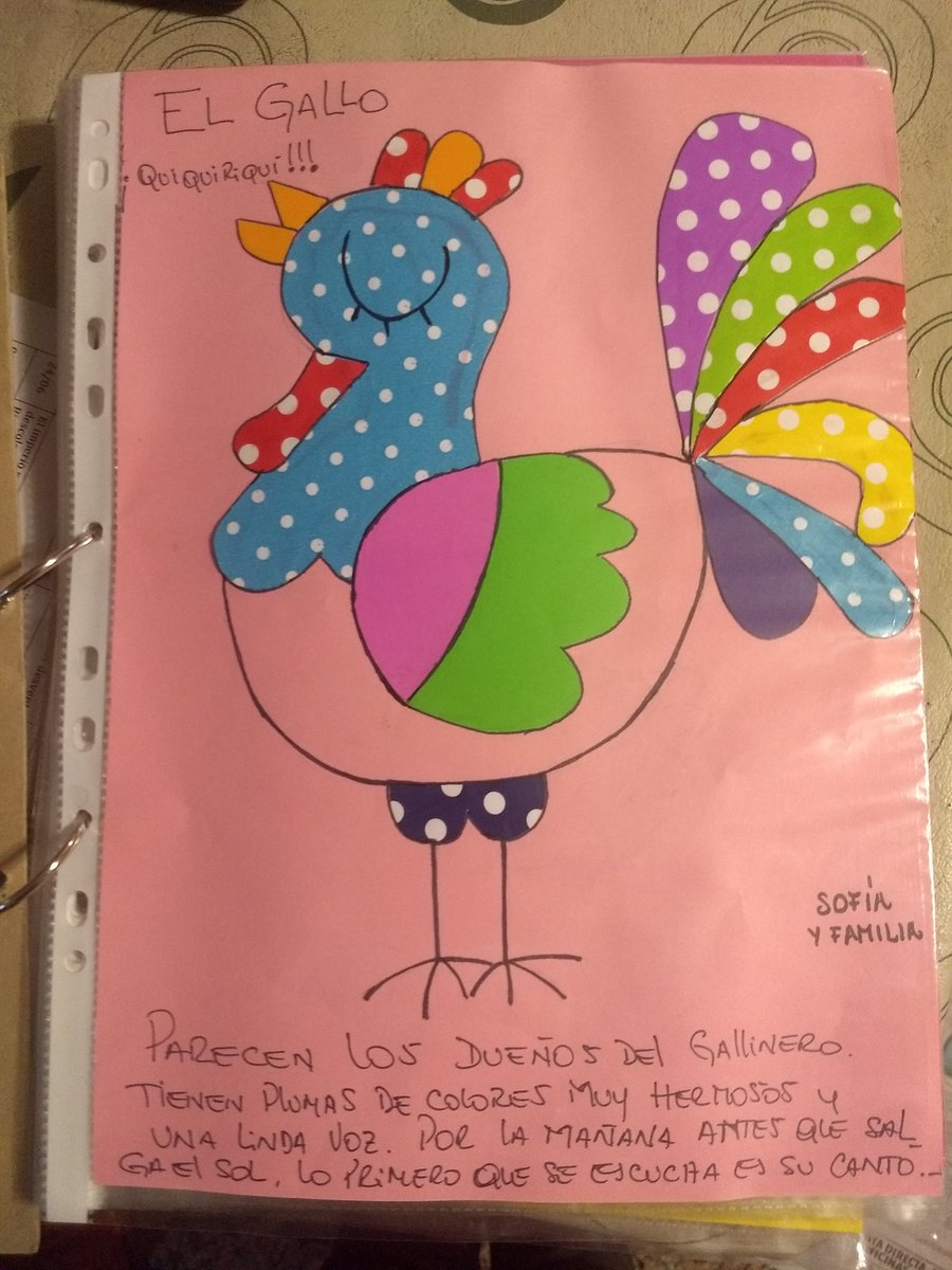 Laura Mafud tweet media