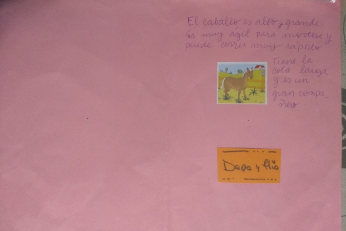 Laura Mafud tweet media