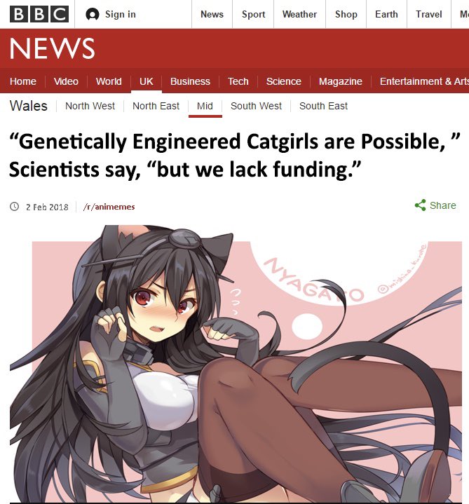 Genetically Engineered Catgirls