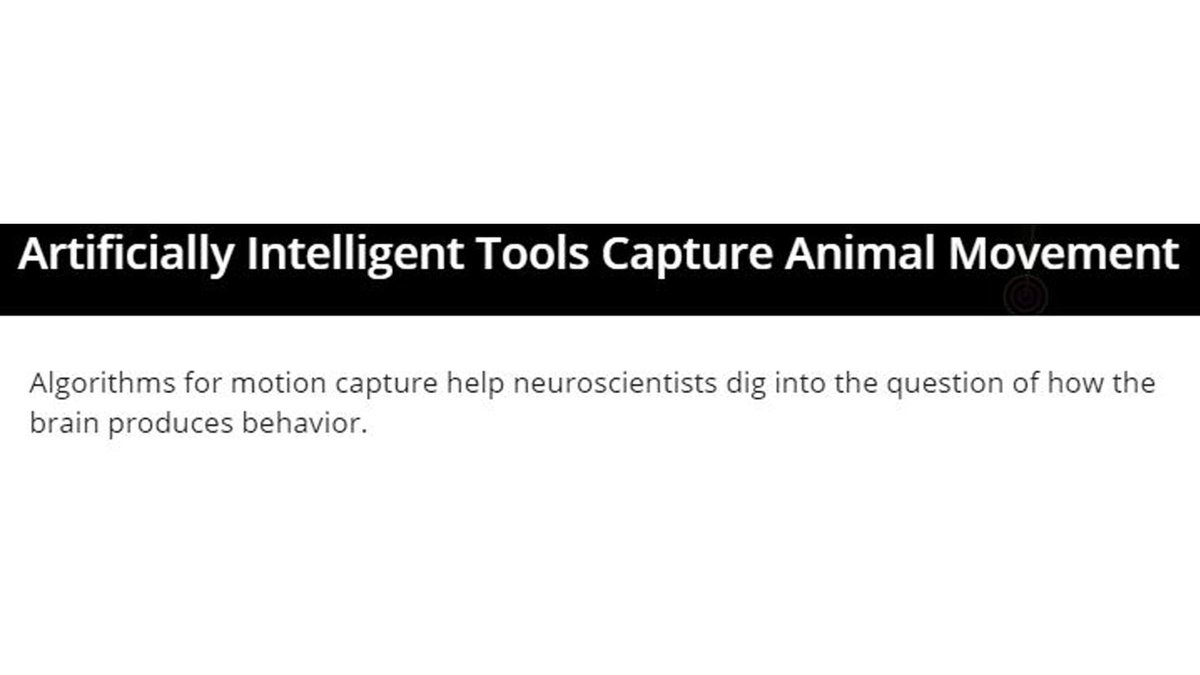 chainhaus tweet media