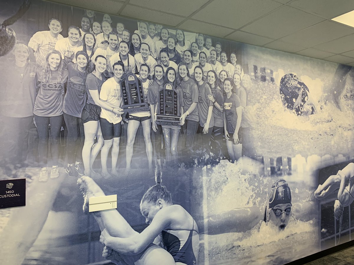 LibertyDiveSwim's tweet photo. Wall wrap! #libertynatatorium #luswimdive #luswimdivealumnae https://t.co/Gp9wOWBrST