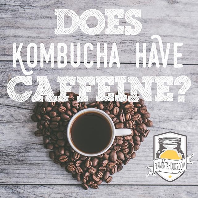 Fermentaholics's tweet photo. 🍵☕🍫Watching your caffeine input but love kombucha? Check out our newest post about how much caffeine to expect in your kombucha and ways to brew your own caffeine-free Booch! 
Link to the blog in bio!

#kombucha #probiotic #health #raw #scoby #fermen… https://t.co/3FoHRFFMf4 https://t.co/WK2Yfsy215