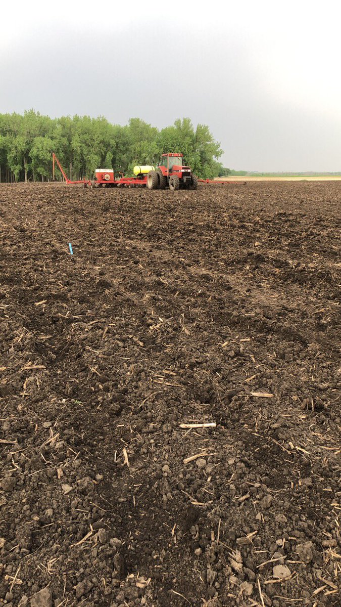 Tim Fieber (@tjfieber) on Twitter photo Plot #2 done for the year. Will be interesting to see the differences. RM 91 - 99 <a href="/FullCircleAg/">Full Circle Ag</a> <a href="/CROPLANseed/">CROPLAN_North</a> <a href="/DKAS_SD/">DEKALB Asgrow SD</a> Plot #2 done for the year. Will be interesting to see the differences. RM 91 - 99 <a href="/FullCircleAg/">Full Circle Ag</a> <a href="/CROPLANseed/">CROPLAN_North</a> <a href="/DKAS_SD/">DEKALB Asgrow SD</a>