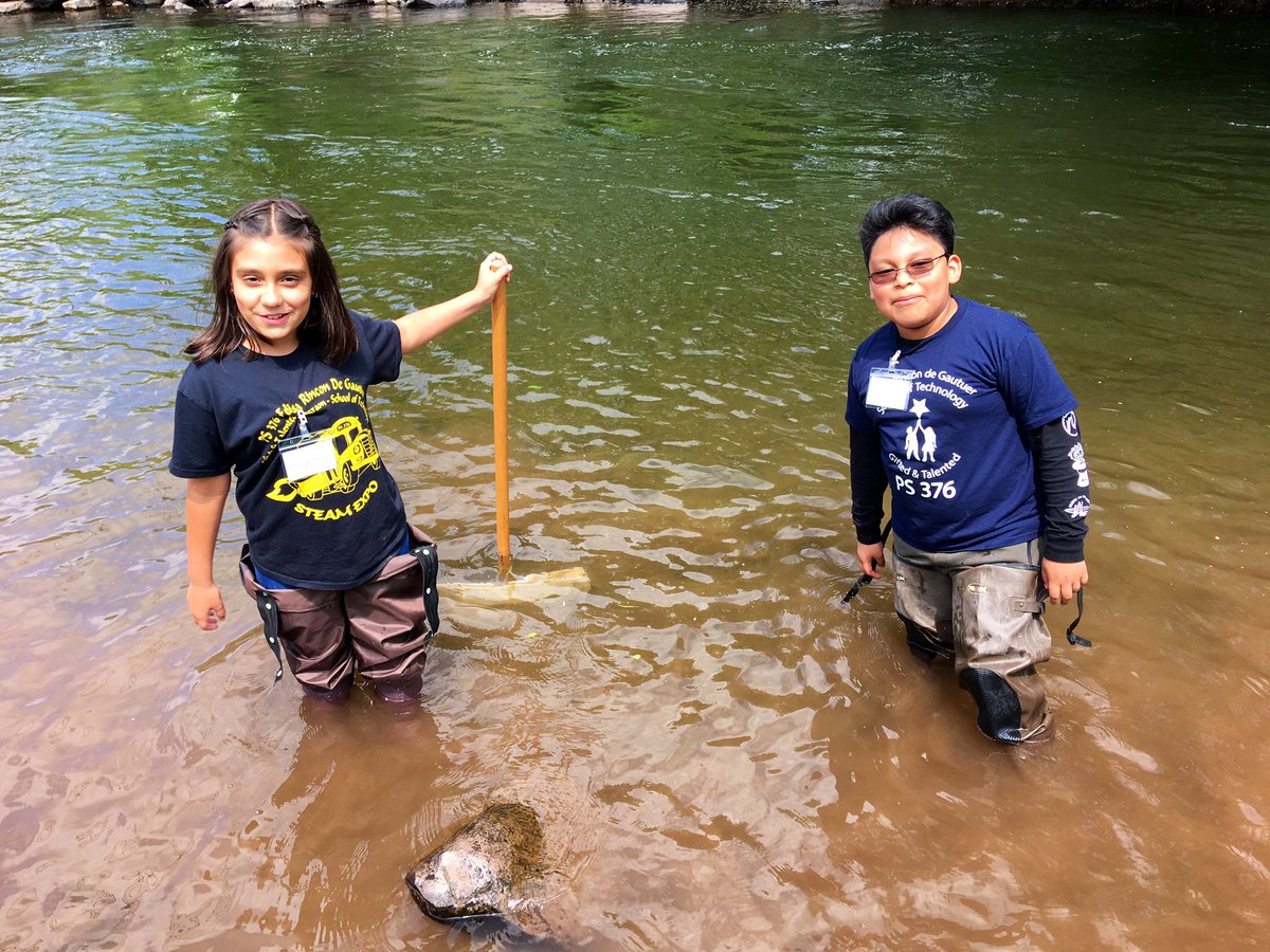 jeanne389's tweet photo. What a beautiful day with our pen pals in the Catskills.  Seining in the creek by Margaretville Central  School, learning about raptors, investigating trees, and enjoying the green, green, green. @32_k376 @NYCElemScience @EcoSchoolsUSA @WaterFarmForest https://t.co/qSEbkRgA1D