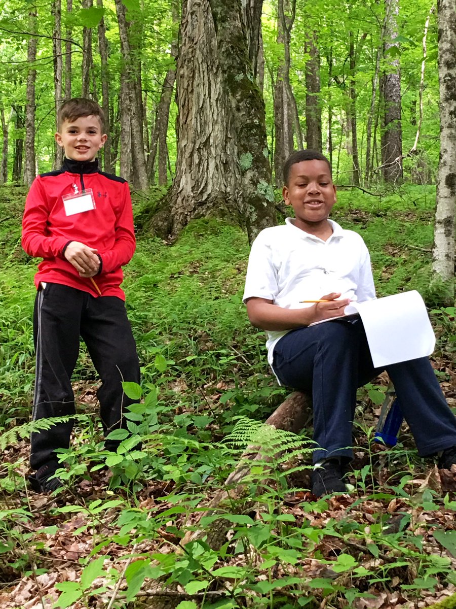 jeanne389's tweet photo. What a beautiful day with our pen pals in the Catskills.  Seining in the creek by Margaretville Central  School, learning about raptors, investigating trees, and enjoying the green, green, green. @32_k376 @NYCElemScience @EcoSchoolsUSA @WaterFarmForest https://t.co/qSEbkRgA1D