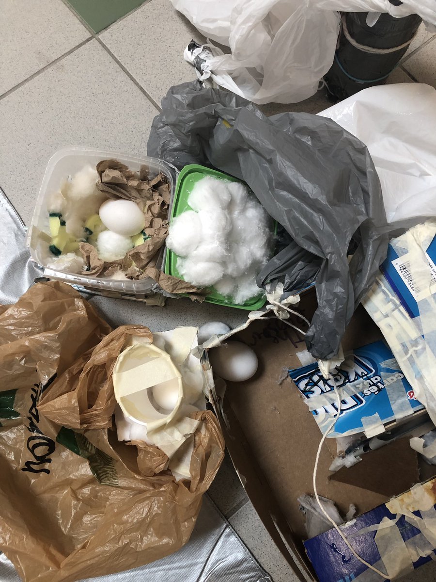 MlleTran's tweet photo. We had many broken eggs, but some successes as well 🥚😂🙈 @BeningsThr3es @WalnutGrovePS https://t.co/SvYjIvaqja