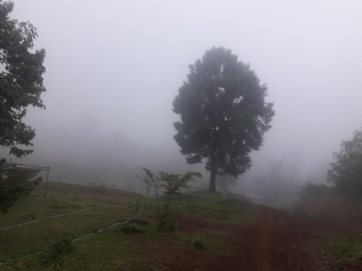 Santisouk207's tweet image. ມາແບບບໍ່ຕັ້ງຕົວເລີຍ