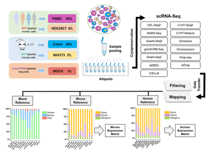 mmw_lmw's tweet photo. #SingleCell_RNAseq | Protocol Comparisons for #CellAtlas Project | Holger Heyn @_BIST @biorxivpreprint https://t.co/9PF1nqwWAF | #May_ReCap https://t.co/j7MxRUvosu