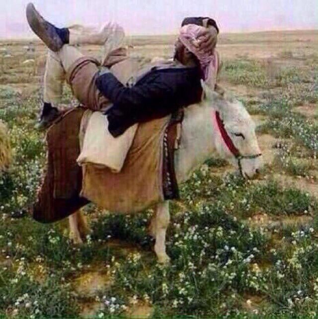 dlhy408's tweet photo. @Fik2y والله على حسب مزاج عمي الشيخ مصيول  راع الطياحه مخرع القوم 😜 ان بغانا نحبتس حبيناتس وان عيا الله يخلف عليتس رحتي ملح🙊😂😂 https://t.co/1dirsv22dw