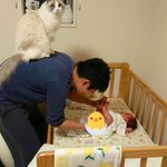 オムツ替えが普通より大変な理由がなんとも微笑ましいw